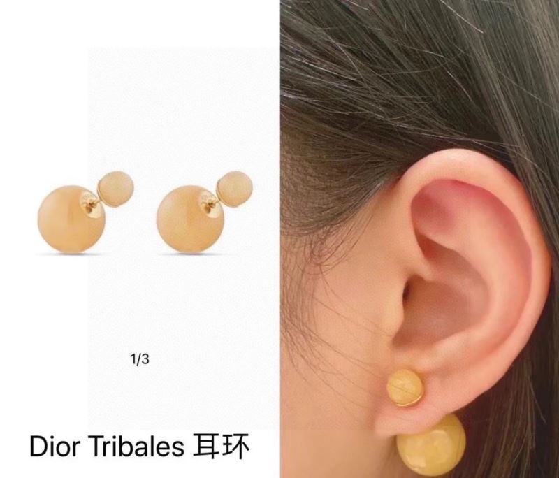 Christian Dior Earrings